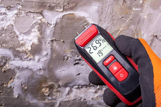 Best Basement Mold Remediation in East Griffin, GA