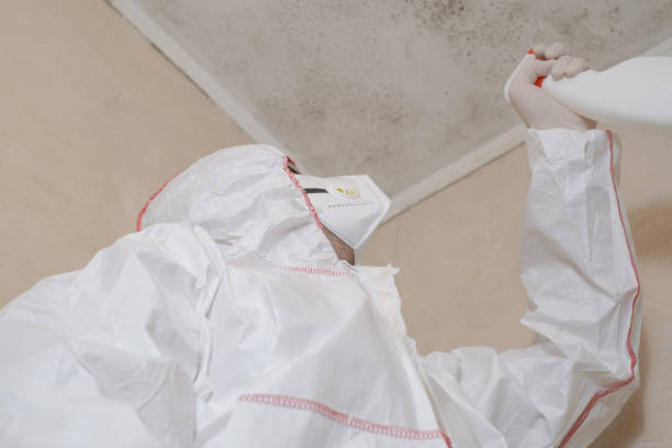 Best Attic Mold Remediation in East Griffin, GA