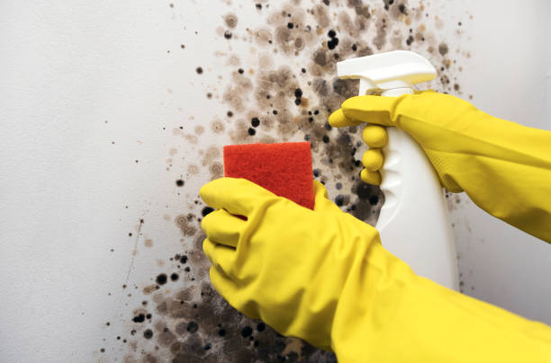 East Griffin, GA Mold Remediation Company